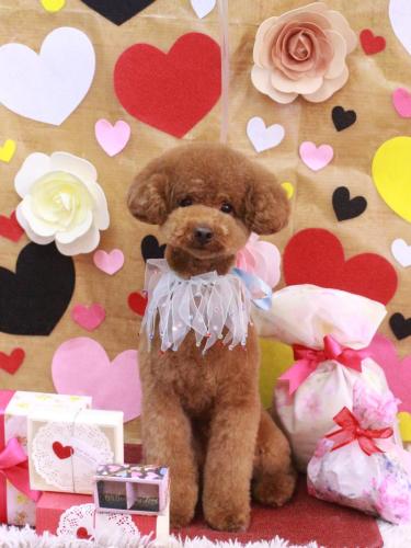 20230219まめくん